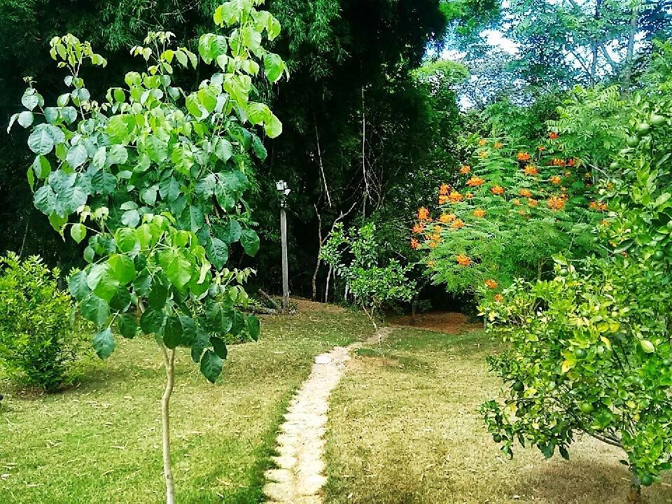 Pousada Orquideas Da Canastra Vargem Bonita Εξωτερικό φωτογραφία